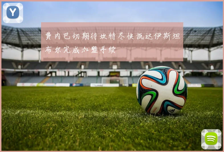 费内巴切期待坎特尽快抵达伊斯坦布尔完成加盟手续