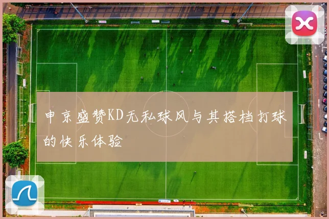 申京盛赞KD无私球风与其搭档打球的快乐体验