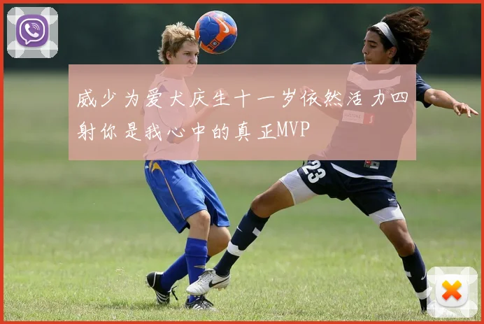 威少为爱犬庆生十一岁依然活力四射你是我心中的真正MVP